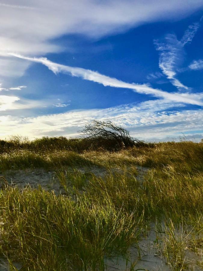 Ferienwohnung-Strandspaziergang, Grosse Wohnung Börgerende-Rethwisch Eksteriør billede